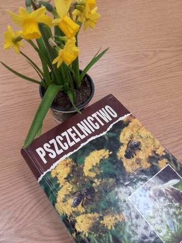 Spotkanie z pszczelarzem